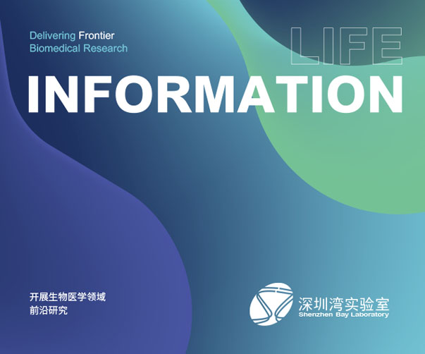 創新之道:泰安logo設計的奧秘,展現城市魅力